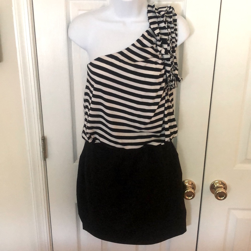 Cache Striped Dress